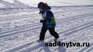 �����-������� 2018
